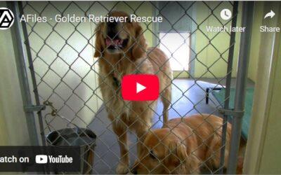 Take a virtual tour of GRRR