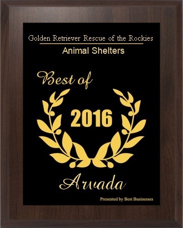 Arvada Small Business Award 2016 plaque