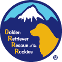 Golden Retriever Rescue