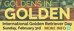 Goldens In Golden Event Video