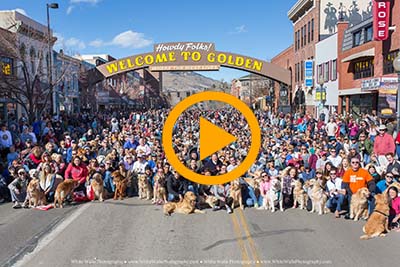 golden retriever event Golden, CO