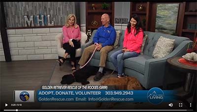 Rescuing Commercial Breeding Dogs-  Mile High Living Interview 2019