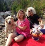 golden retriever rescue dog tribute westminster colorado 