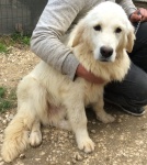 Drac TDXII Adopted 5/26/2019