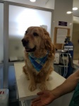 Fraser TDXII Adopted 5/29/2019