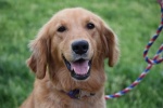 Ruby Adopted 6/11/2019
