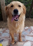 Sunshine TDXII Adopted 5/23/2019