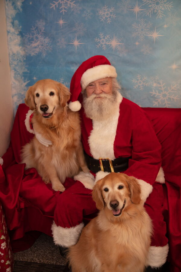 Lilly (11 years old) & Sullivan (7 years old) Adopted 3/14/20 - Image 3