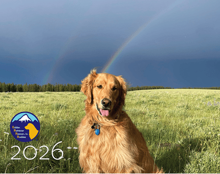 calendar contest