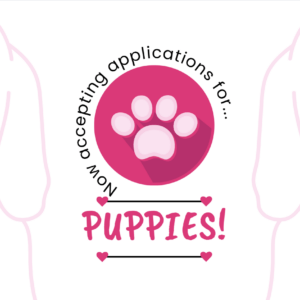 NOW ACCEPTING APPLICATIONS FOR PUPPIES!